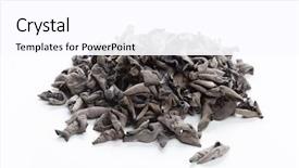  Presentation with grain in ear - PPT layouts having judas - dried jew's-ear background and a white colored foreground