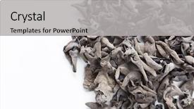  Presentation with ear - PPT theme enhanced with judas - dried jew's-ear background and a  colored foreground