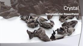  Presentation with ear anatomy - Beautiful PPT theme featuring judas - dried jew's-ear backdrop and a  colored foreground