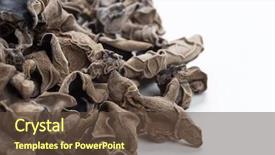  Presentation with ear - Audience pleasing slide set consisting of judas - dried jew's-ear backdrop and a tawny brown colored foreground