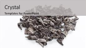  Presentation with ear - Presentation design featuring judas - dried jew's-ear background and a  colored foreground