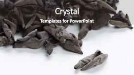  Presentation with ear - Audience pleasing slide set consisting of judas - dried jew's-ear backdrop and a  colored foreground