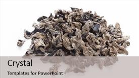  Presentation with grain in ear - Amazing slide set having judas - dried jew's-ear backdrop and a  colored foreground