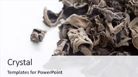  Presentation with ear - Slide set with judas - dried jew's-ear background and a  colored foreground