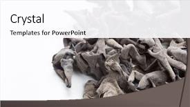  Presentation with ear pollution - Colorful presentation enhanced with judas - dried jew's-ear backdrop and a  colored foreground