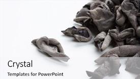  Presentation with medical ear nose throat vertigo - Presentation theme with judas - dried jew's-ear background and a  colored foreground