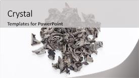  Presentation with ear pollution - Audience pleasing slide set consisting of judas - dried jew's-ear backdrop and a  colored foreground