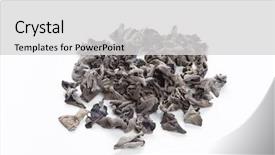  Presentation with ear - Amazing slide set having judas - dried jew's-ear backdrop and a light gray colored foreground