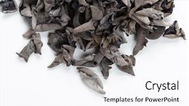  Presentation with ear - PPT theme having judas - dried jew's-ear background and a pink colored foreground