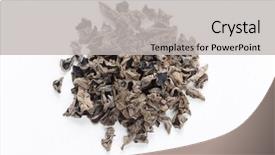  Presentation with ear anatomy - Cool new presentation theme with judas - dried jew's-ear backdrop and a light gray colored foreground