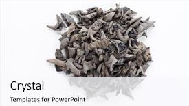  Presentation with ear pollution - PPT theme enhanced with judas - dried jew's-ear background and a pink colored foreground