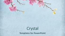  Presentation with old paper pen rolls - PPT layouts with mac notebook - female hand working on laptop background and a  colored foreground.