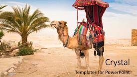  Presentation with rides - Theme consisting of judean desert palestine israel background and a coral colored foreground