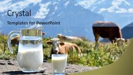  Presentation with milk - Amazing PPT theme having jug of milk against herd backdrop and a light blue colored foreground