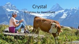  Presentation with milk pathogen - Slides enhanced with jug of milk and cow background and a light blue colored foreground