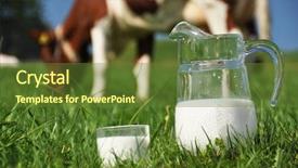  Presentation with cow milk - Theme enhanced with jug of milk and cow background and a tawny brown colored foreground