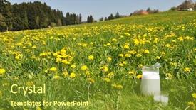  Presentation with switzerland - Cool new presentation design with jug of milk on the meadow emmental region switzerland backdrop and a tawny brown colored foreground