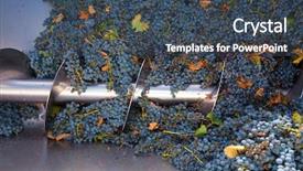  Presentation with cabernet - Colorful slide set enhanced with juice factory - corkscrew crusher destemmer in winemaking backdrop and a ocean colored foreground