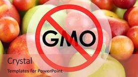  Presentation with gmo - Colorful slides enhanced with juicy fruits without gmo backdrop and a coral colored foreground