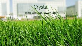  Presentation with urban green - Audience pleasing slide set consisting of juicy green grass backdrop and a soft green colored foreground