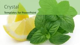 Presentation with mint - Slide deck consisting of juicy lemon with mint background and a seafoam green colored foreground