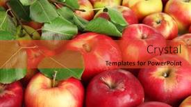  Presentation with green apples - 