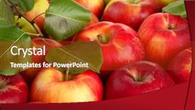  Presentation with green apple - Amazing presentation having juicy red apples with green backdrop and a crimson colored foreground