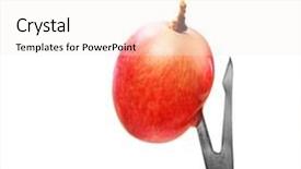  Presentation with grape - Presentation featuring juicy red grape on a sharp fondue fork for healthy eating concept background and a sky blue colored foreground