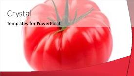  Presentation with tomato - 