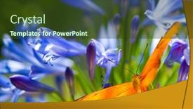  Presentation with purple butterfly - Cool new PPT theme with julie-heliconian-butterfly-in-purple backdrop and a tawny brown colored foreground