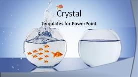  Presentation with goldfish - Audience pleasing PPT theme consisting of jumping fish - goldfish jump into the aquarium backdrop and a light blue colored foreground