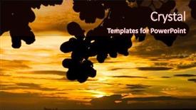  Presentation with jungle - Beautiful PPT theme featuring jungle and last rays sunlit backdrop and a wine colored foreground