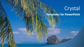  Presentation with jungle - Cool new theme with jungle and sea palms overhanging backdrop and a ocean colored foreground