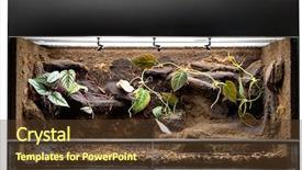  Presentation with tropical forest - PPT layouts enhanced with jungle animals such as lizard background and a tawny brown colored foreground