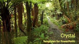  Presentation with tropical forest - Slides consisting of jungle background - trail in lush green tropical background and a  colored foreground