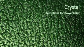  Presentation with jungle - Slides consisting of jungle book - green leathery texture background and a tawny brown colored foreground