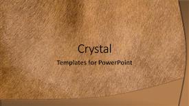  Presentation with horse - Slide deck consisting of jungle book - horse fur close up background and a coral colored foreground