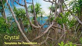  Presentation with jungle - Presentation theme with jungle-bush-near-beach-unawatuna background and a tawny brown colored foreground