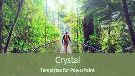  Presentation with central america - Beautiful presentation featuring jungle costa rica central america backdrop and a violet colored foreground