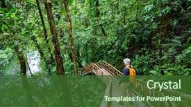  Presentation with central america - Beautiful theme featuring jungle costa rica central america backdrop and a tawny brown colored foreground