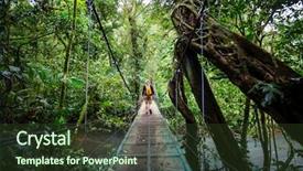  Presentation with central america - PPT theme having jungle costa rica central america background and a tawny brown colored foreground