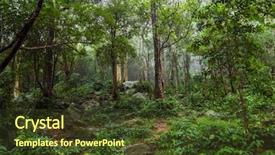  Presentation with foggy forest - Audience pleasing slide set consisting of jungle forest nature background foggy backdrop and a tawny brown colored foreground