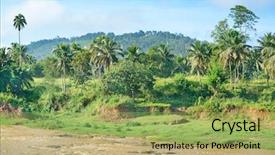  Presentation with river forest - Presentation theme with jungle free - equatorial forest near the river background and a yellow colored foreground