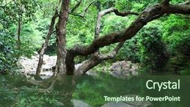  Presentation with energy and water conservation - Slides having jungle free - forest with water and tree background and a tawny brown colored foreground