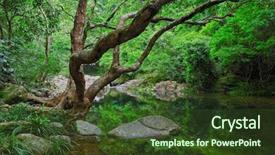  Presentation with tree - Colorful PPT theme enhanced with jungle free - forest with water and tree backdrop and a  colored foreground