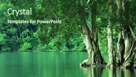  Presentation with water reservoir - Slide deck featuring jungle free - paper bark tree near background and a  colored foreground