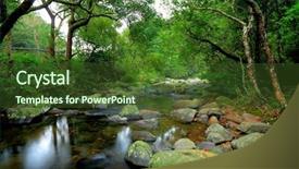  Presentation with spring water - Theme enhanced with jungle free - water spring in forest background and a tawny brown colored foreground