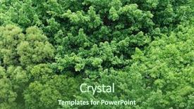  Presentation with top view of candles - Slide deck having jungle green - big tree fromm top view background and a forest green colored foreground