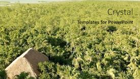  Presentation with jungle - Cool new PPT theme with jungle high view of mexican jungle backdrop and a yellow colored foreground