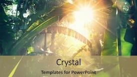  Presentation with jungle - Beautiful presentation design featuring jungle in vietnam backdrop and a yellow colored foreground